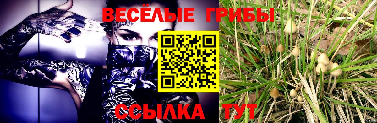 Псилоцибиновые грибы мухоморы Ликино-Дулёво
